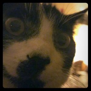 Meet your Posher, Joni